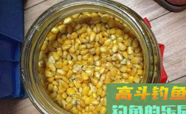 秋常用这些自制饵料配方，帮你轻松钓到大草鱼