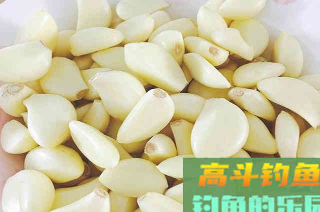 大蒜红枣做的钓鱼小药，比买的都好用