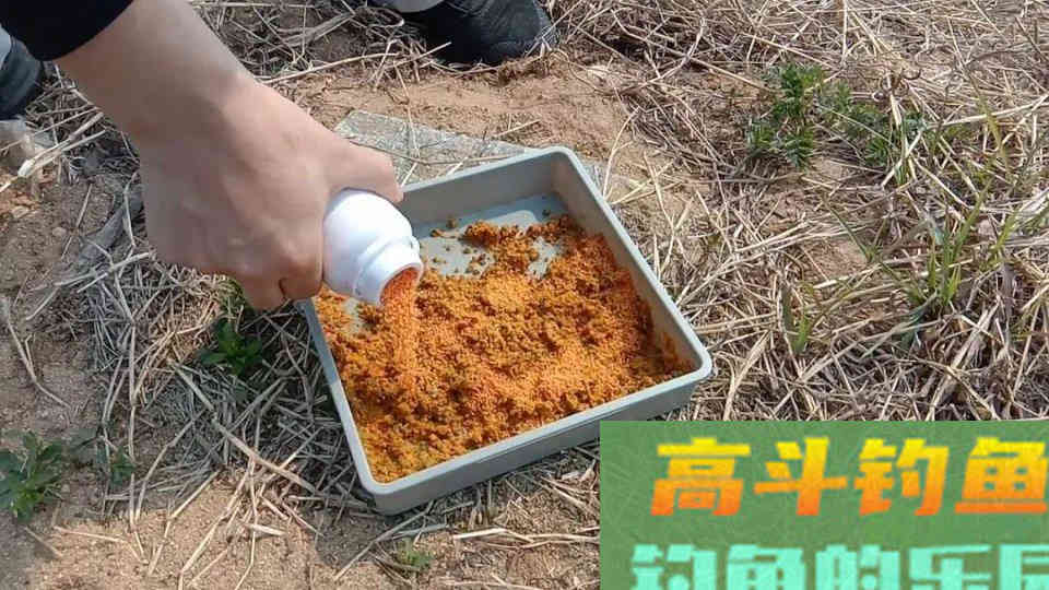 高温天气钓鱼这样搭配饵料和小药