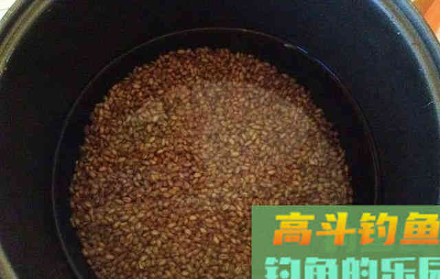 手把手教你腌制小麦饵，鲫鱼鲤鱼都爱吃