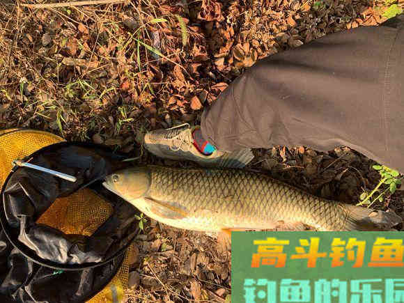 ​你与坑冠的距离：抽出立体雾化区，开饵以及技巧详解