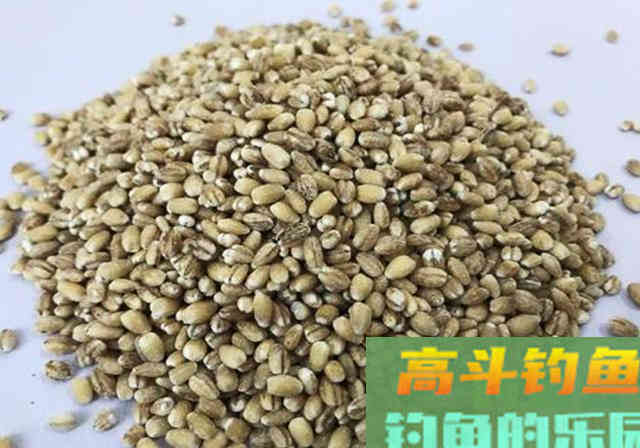 3种麦粒鱼饵制作方法分享，想学的别错过