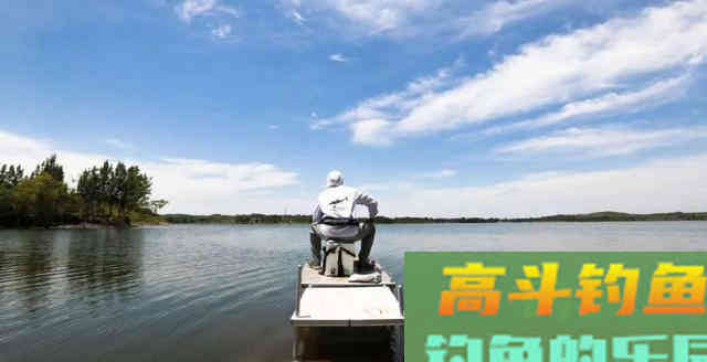 不同的水情要按不同的模式调整鱼饵，照如下方法做就好