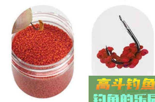 酒米钓鱼的4种最新用法，用过不是高手就是内行