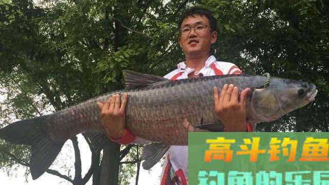深度解析，钓鱼小药在垂钓中的作用、成分、原理