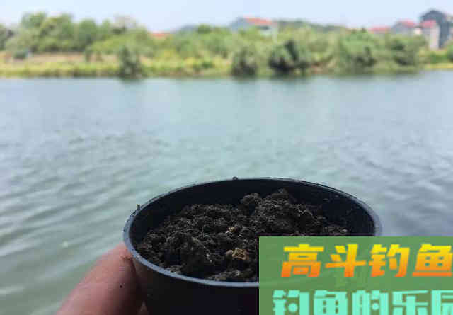 野钓你喜欢用蚯蚓吗？这些关于蚯蚓的小常识知多少