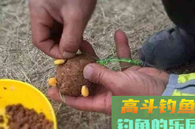 终于验证了南瓜可以钓鱼，而且钓的都是大草鱼