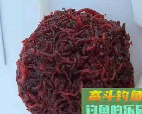 冬钓小鲫鱼，必用的三种饵料，你都用对了吗
