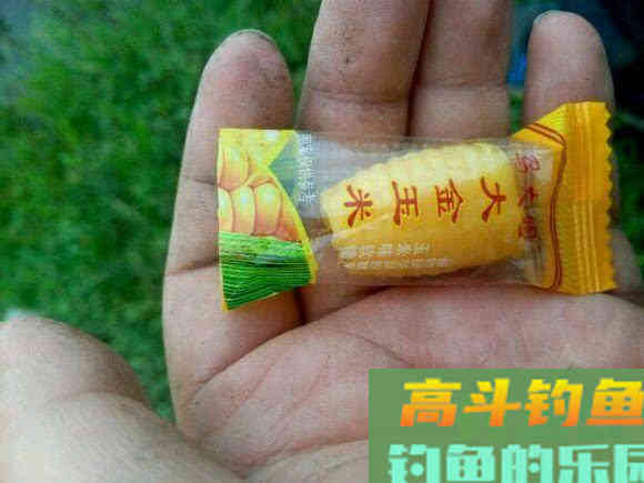 这三种特殊的鱼饵，到底能不能钓上鱼？