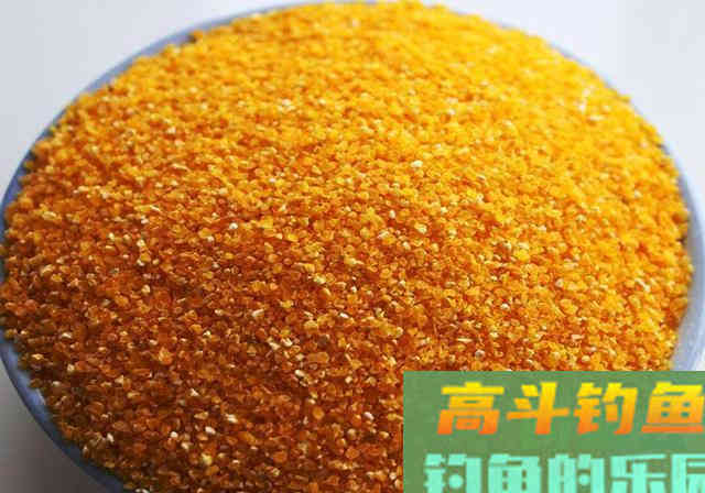 鲫鱼鲤鱼通杀窝料，自制简单成本低，比买的都便宜