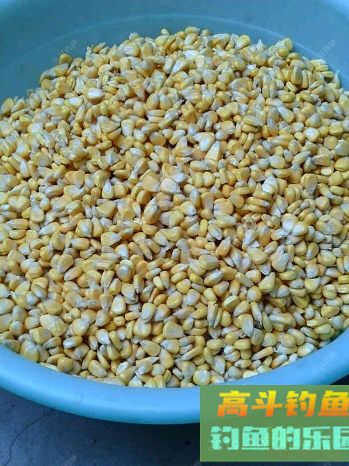 一款自制老缸杂粮窝料，实战使用多年，效果好
