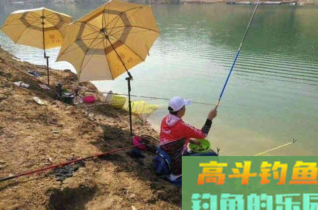 秋季钓鱼，老钓手们最常用的3个打窝诱鱼方式