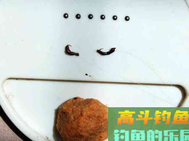 冷天钓鱼别只单挂蚯蚓红虫，多一个小步骤事半功倍