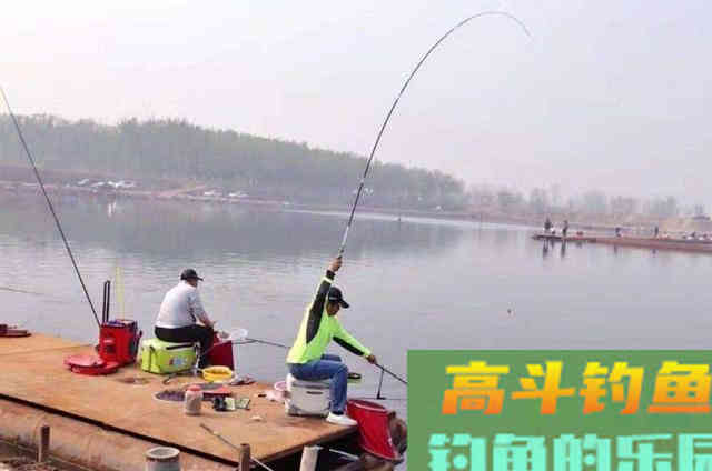 钓了40年鲫鱼，这用饵套路屡试不爽