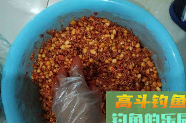 传统谷麦钓法，酒米谷麦饵料详细教学