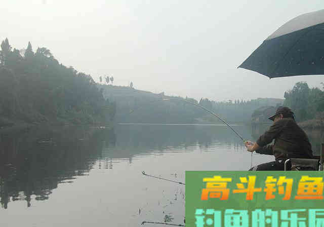 自制鱼饵配方送钓友，大小鱼通杀，感兴趣的拿走