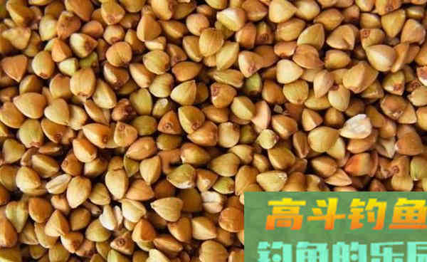 野钓鲫鱼自制饵料汇总，深秋野钓大板鲫正好使用