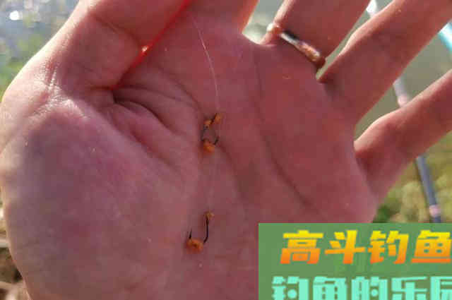 野钓小鲫鱼饵料状态很重要，好好考虑这些问题