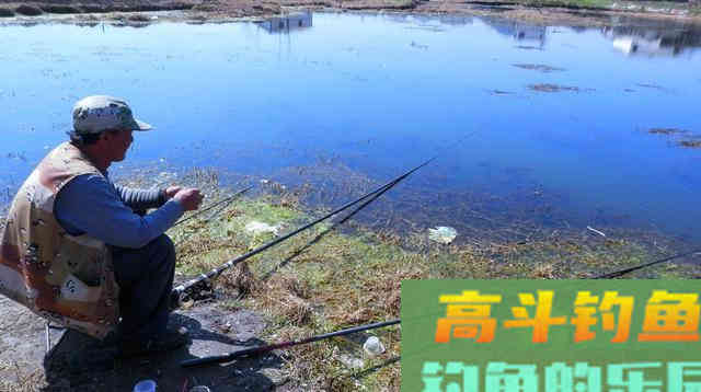入秋后野钓做窝有哪些变动？要调整开饵做窝不能少