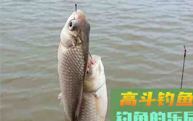 使用轻质饵，没有多复杂，记住三二一就可以了