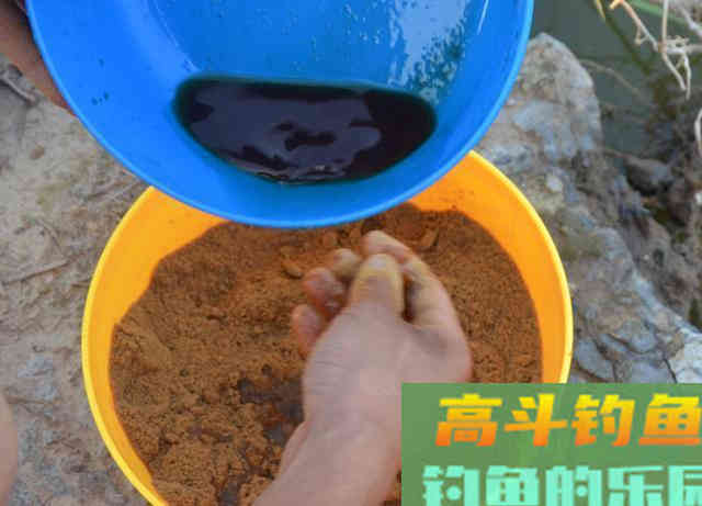 小黄面为什么风靡黑坑？它是一种怎样的钓饵