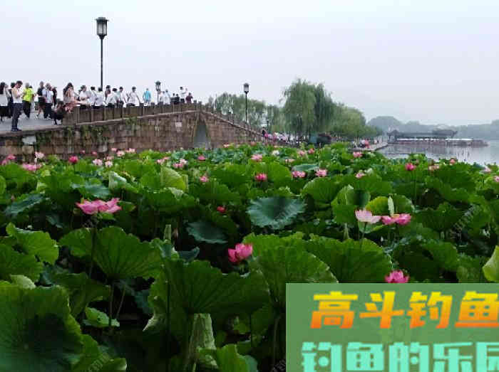 我对状态饵浅识和实操