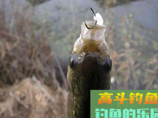 这些边角料，和钓鱼也不搭边，但是用起来效果都很好