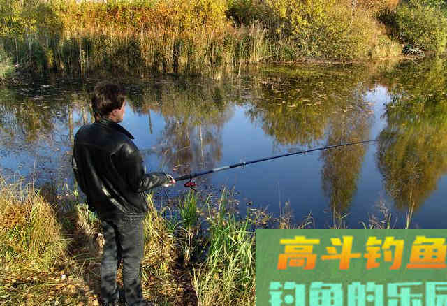 小时候的重口味打窝，狐狸没捉到，惹了一身骚