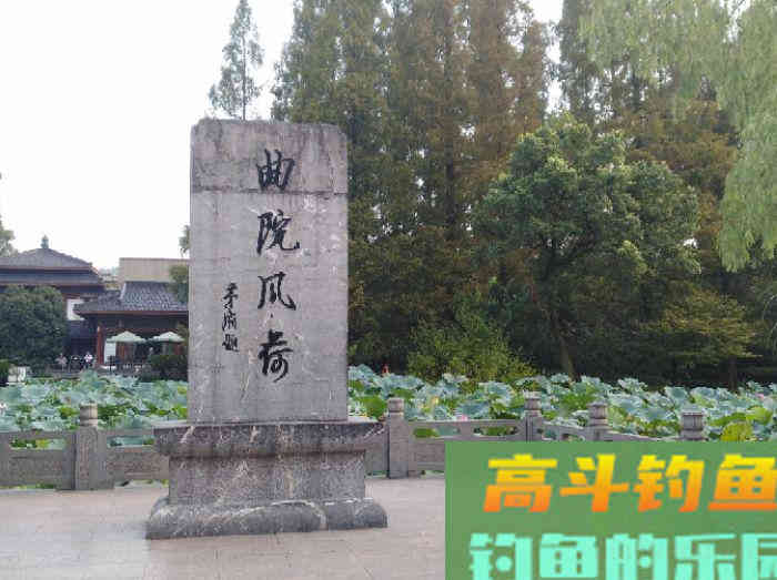 我对状态饵浅识和实操