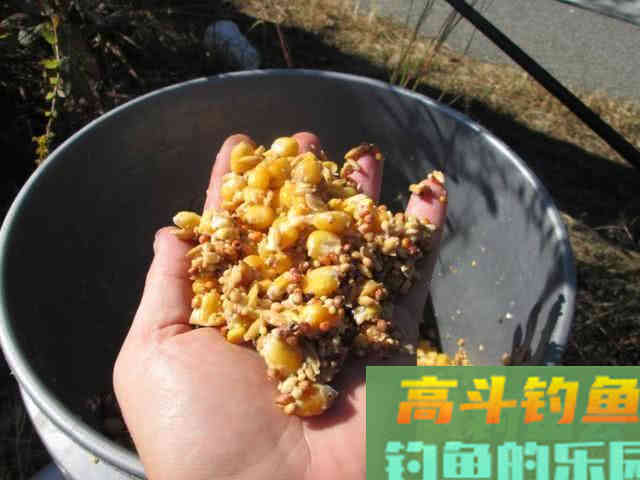 都说钓鱼要用粮食换，该如何打窝，从四个方面考虑