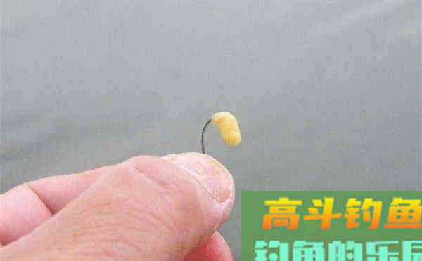 夏季高温鲫鱼不开口，两款自制清淡饵