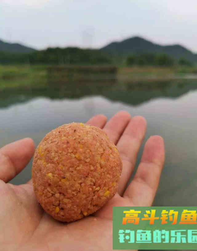 在家自制一款商品饵，秋钓鲤鱼经济又好用