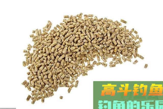 钓鱼不知道怎么配饵？带上这4包饵料，到哪里都不怕
