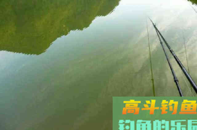 钓鱼人在选择鱼饵上，走的弯路不要再被忽悠了