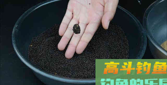浮水颗粒钓鱼的精髓，粒径的混搭才是法宝，非味型好