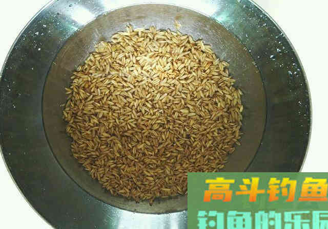 珍藏窝料做法送给你，拥有它爆护很轻松