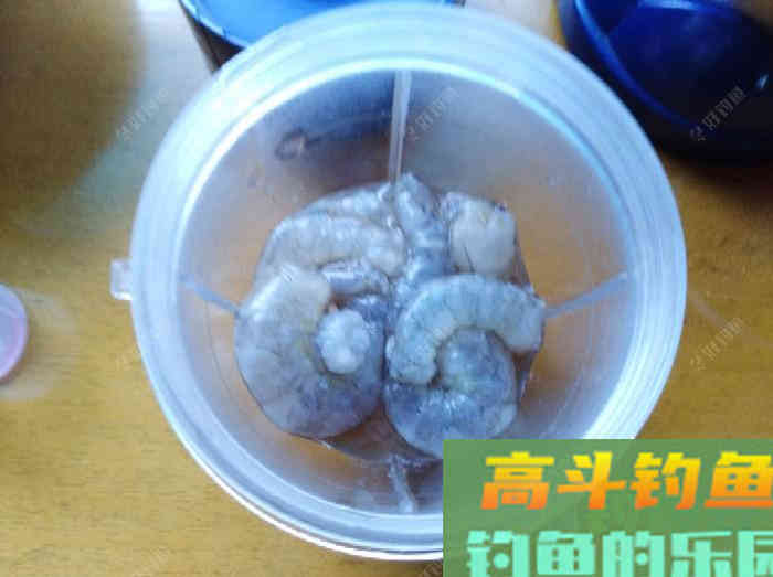 虾拉饵真实的制作过程与效果
