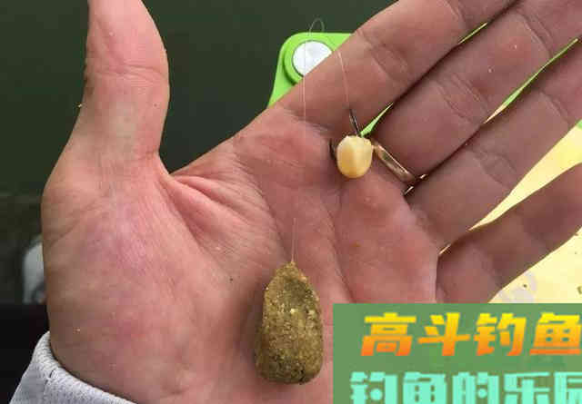饵料多久雾化完最合适？实战告诉你野钓多久换一次饵