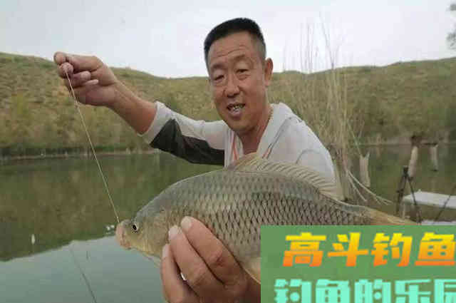 游钓中国：李大毛老师常用饵料配方大全