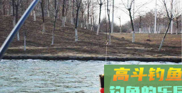 打窝是前提，你知道如何打窝吗？想知道的看这