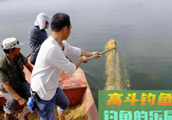 冬季打窝来鱼慢？不是窝料味道差，不是钓位不够好