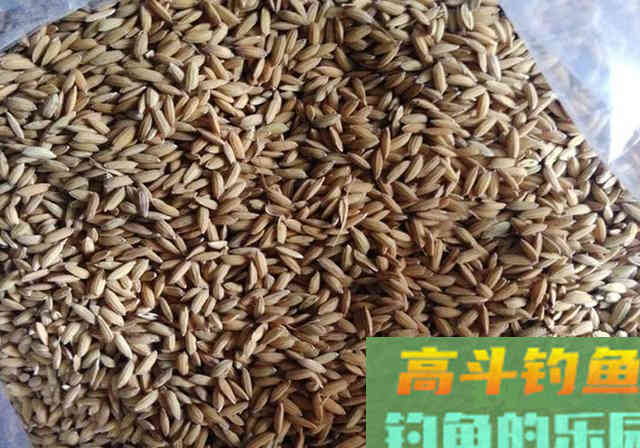 这款鱼饵我用了15年，今天无偿送给钓友们