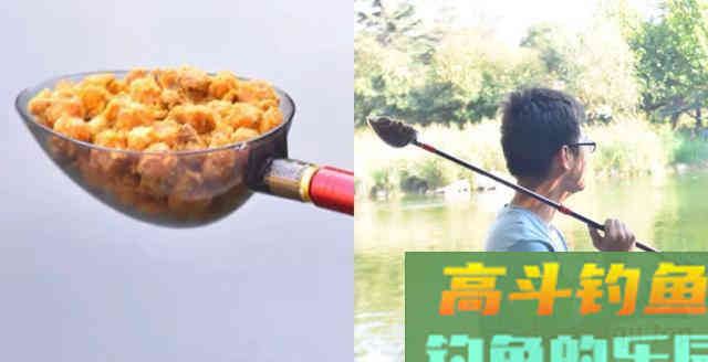 解析钓鱼做窝，窝料的气味、颜色、状态与钓鱼的关系