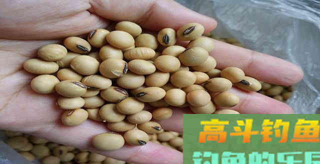 农村小哥用小米椒做窝料，诱鱼快穿透力强，附配方