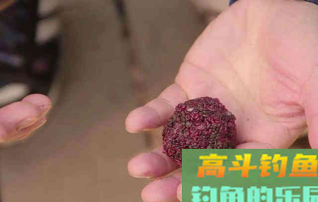 在现在这个难上鱼的季节里，要从饵料上下功夫