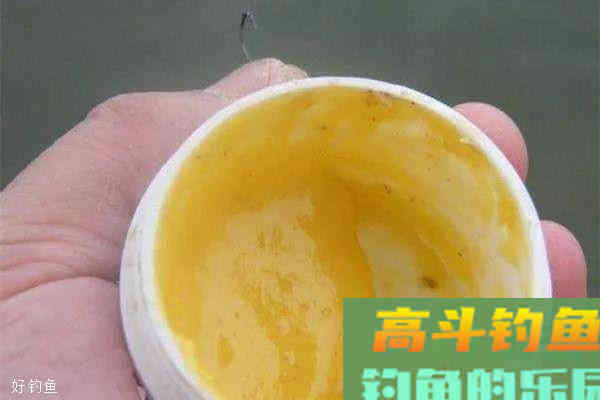 春季野钓用饵有招数，这招用的好，不愁钓不到鱼