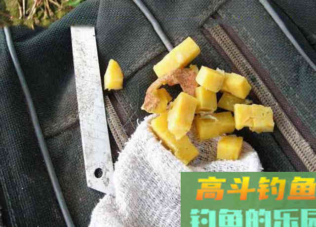 老钓手自制四种粮食钓饵，在农村十分常见