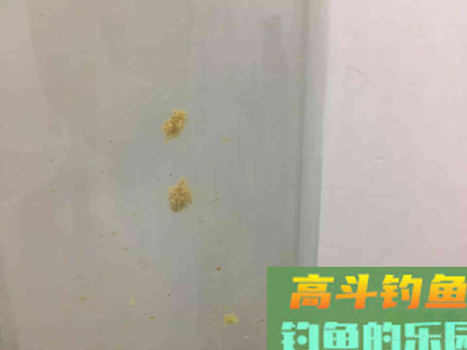 搭配饵料时懂得粗细结合，才能做到诱鱼留鱼双丰收