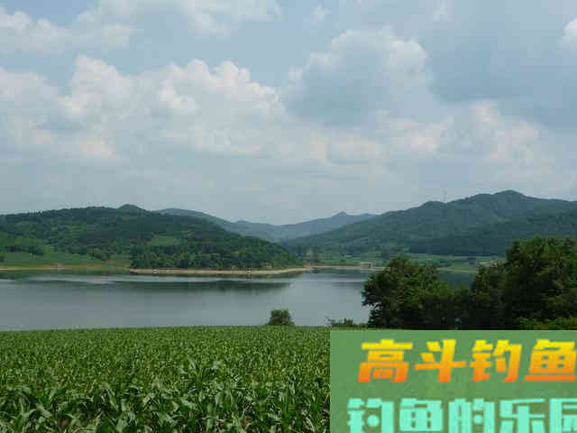 野生鱼儿可不一定喜欢渔具店里卖的饵，得看水里有啥