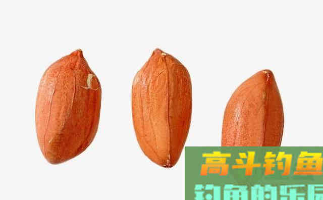 花生米能钓鱼吗？用花生米钓鱼的方法